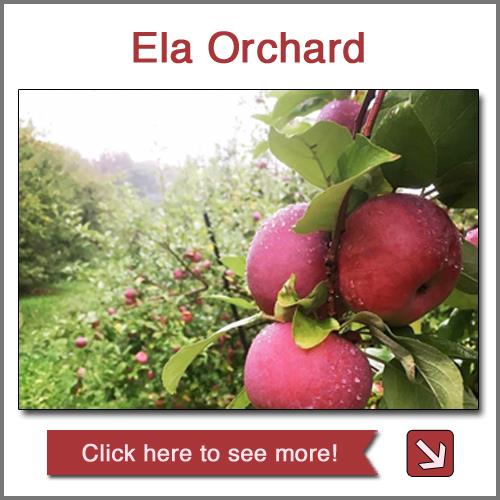 Ela Orchard